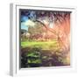 Beautiful Outdoor Park with Rays of Light-melking-Framed Photographic Print