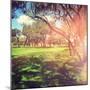 Beautiful Outdoor Park with Rays of Light-melking-Mounted Photographic Print