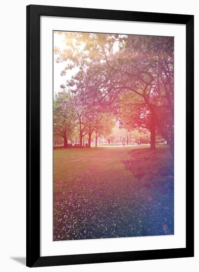 Beautiful Outdoor Park with Rays of Light-melking-Framed Photographic Print
