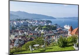 Beautiful Overlook of the City of Bergen, Norway-Bill Bachmann-Mounted Photographic Print