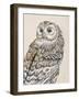 Beautiful Owls III Vintage-Daphne Brissonnet-Framed Art Print