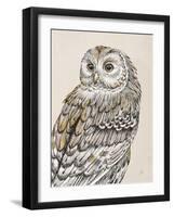 Beautiful Owls III Vintage-Daphne Brissonnet-Framed Art Print