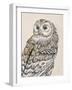 Beautiful Owls III Vintage-Daphne Brissonnet-Framed Art Print