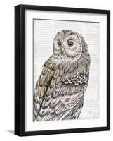 Beautiful Owls III-Daphne Brissonnet-Framed Art Print