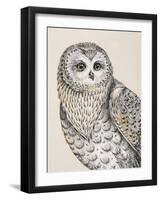 Beautiful Owls IV Vintage-Daphne Brissonnet-Framed Art Print