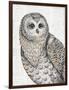 Beautiful Owls IV-Daphne Brissonnet-Framed Art Print