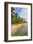 Beautiful palm fringed beach, Achutupu, San Blas Islands, Kuna Yala, Panama, Central America-Michael Runkel-Framed Photographic Print