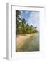 Beautiful palm fringed beach, Achutupu, San Blas Islands, Kuna Yala, Panama, Central America-Michael Runkel-Framed Photographic Print