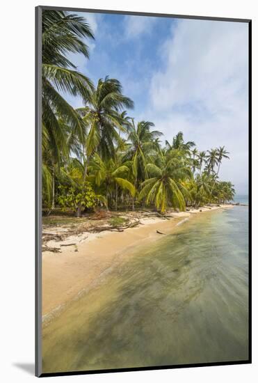 Beautiful palm fringed beach, Achutupu, San Blas Islands, Kuna Yala, Panama, Central America-Michael Runkel-Mounted Photographic Print