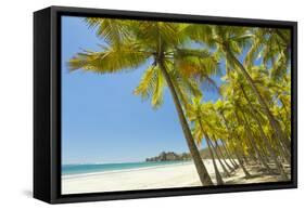 Beautiful Palm Fringed White Sand Playa Carrillo-Rob Francis-Framed Stretched Canvas