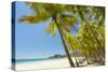 Beautiful Palm Fringed White Sand Playa Carrillo-Rob Francis-Stretched Canvas