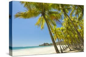 Beautiful Palm Fringed White Sand Playa Carrillo-Rob Francis-Stretched Canvas