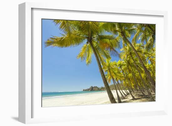 Beautiful Palm Fringed White Sand Playa Carrillo-Rob Francis-Framed Photographic Print