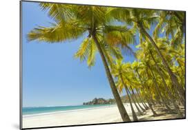 Beautiful Palm Fringed White Sand Playa Carrillo-Rob Francis-Mounted Photographic Print