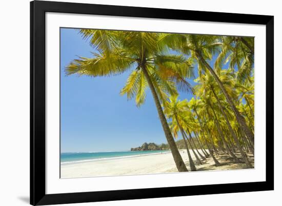 Beautiful Palm Fringed White Sand Playa Carrillo-Rob Francis-Framed Photographic Print