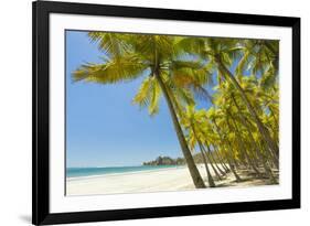 Beautiful Palm Fringed White Sand Playa Carrillo-Rob Francis-Framed Photographic Print