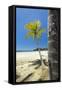 Beautiful Palm Fringed White Sand Playa Carrillo-Rob Francis-Framed Stretched Canvas