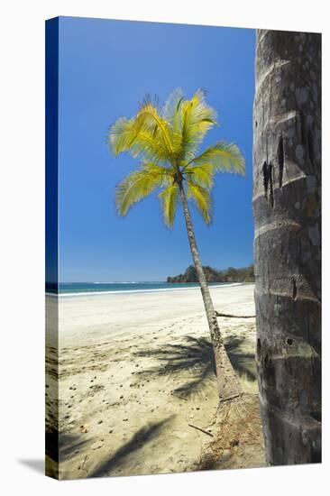 Beautiful Palm Fringed White Sand Playa Carrillo-Rob Francis-Stretched Canvas