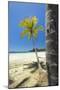 Beautiful Palm Fringed White Sand Playa Carrillo-Rob Francis-Mounted Photographic Print