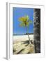 Beautiful Palm Fringed White Sand Playa Carrillo-Rob Francis-Framed Photographic Print