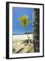 Beautiful Palm Fringed White Sand Playa Carrillo-Rob Francis-Framed Photographic Print