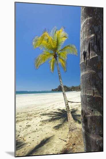 Beautiful Palm Fringed White Sand Playa Carrillo-Rob Francis-Mounted Photographic Print