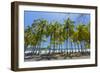 Beautiful Palm Fringed White Sand Playa Carrillo-Rob Francis-Framed Photographic Print