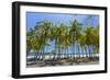Beautiful Palm Fringed White Sand Playa Carrillo-Rob Francis-Framed Photographic Print