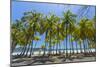 Beautiful Palm Fringed White Sand Playa Carrillo-Rob Francis-Mounted Photographic Print