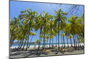 Beautiful Palm Fringed White Sand Playa Carrillo-Rob Francis-Mounted Photographic Print