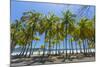 Beautiful Palm Fringed White Sand Playa Carrillo-Rob Francis-Mounted Photographic Print