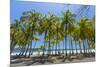 Beautiful Palm Fringed White Sand Playa Carrillo-Rob Francis-Mounted Photographic Print