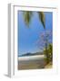 Beautiful Palm Fringed White Sand Playa Carrillo-Rob Francis-Framed Photographic Print