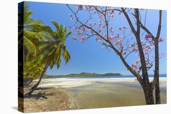 Beautiful Palm Fringed White Sand Playa Carrillo-Rob Francis-Stretched Canvas