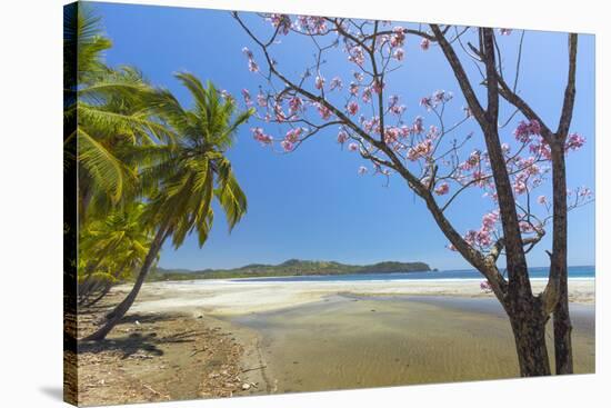 Beautiful Palm Fringed White Sand Playa Carrillo-Rob Francis-Stretched Canvas