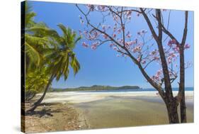 Beautiful Palm Fringed White Sand Playa Carrillo-Rob Francis-Stretched Canvas