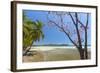 Beautiful Palm Fringed White Sand Playa Carrillo-Rob Francis-Framed Photographic Print