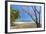 Beautiful Palm Fringed White Sand Playa Carrillo-Rob Francis-Framed Photographic Print