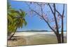 Beautiful Palm Fringed White Sand Playa Carrillo-Rob Francis-Mounted Photographic Print