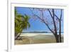 Beautiful Palm Fringed White Sand Playa Carrillo-Rob Francis-Framed Photographic Print