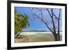 Beautiful Palm Fringed White Sand Playa Carrillo-Rob Francis-Framed Photographic Print