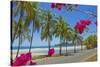 Beautiful Palm Fringed White Sand Playa Carrillo-Rob Francis-Stretched Canvas