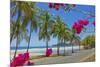 Beautiful Palm Fringed White Sand Playa Carrillo-Rob Francis-Mounted Photographic Print