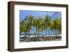 Beautiful Palm Fringed White Sand Playa Carrillo-Rob Francis-Framed Premium Photographic Print