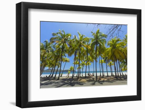 Beautiful Palm Fringed White Sand Playa Carrillo-Rob Francis-Framed Premium Photographic Print