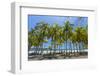 Beautiful Palm Fringed White Sand Playa Carrillo-Rob Francis-Framed Premium Photographic Print