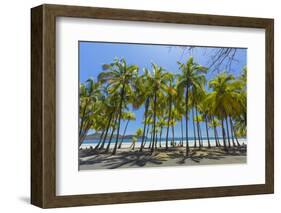 Beautiful Palm Fringed White Sand Playa Carrillo-Rob Francis-Framed Photographic Print