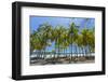 Beautiful Palm Fringed White Sand Playa Carrillo-Rob Francis-Framed Photographic Print