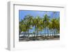 Beautiful Palm Fringed White Sand Playa Carrillo-Rob Francis-Framed Photographic Print