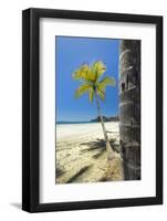 Beautiful Palm Fringed White Sand Playa Carrillo-Rob Francis-Framed Photographic Print